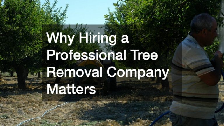 Why Hiring a Professional Tree Removal Company Matters
